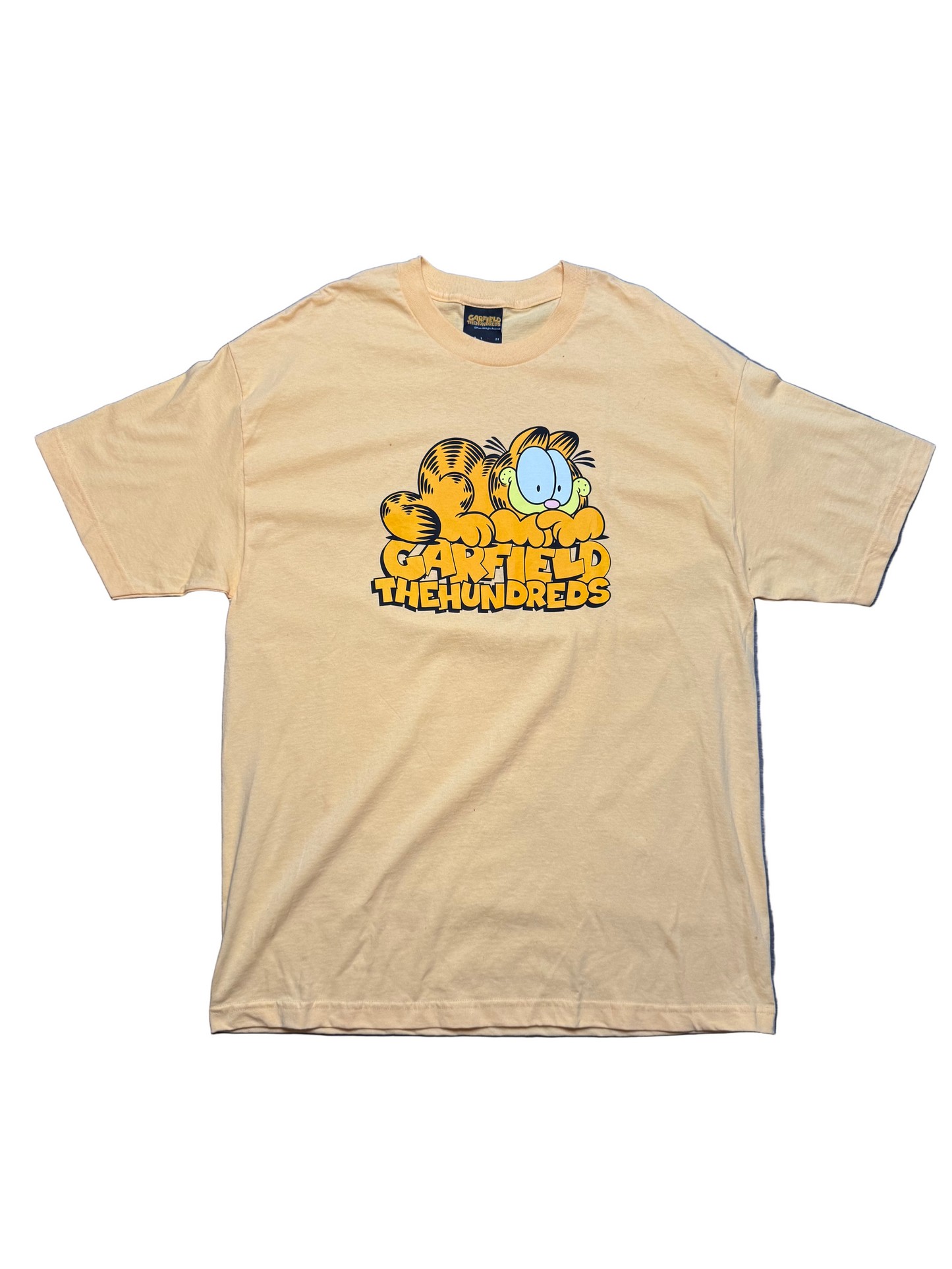 Garfield The Hundreds T shirt