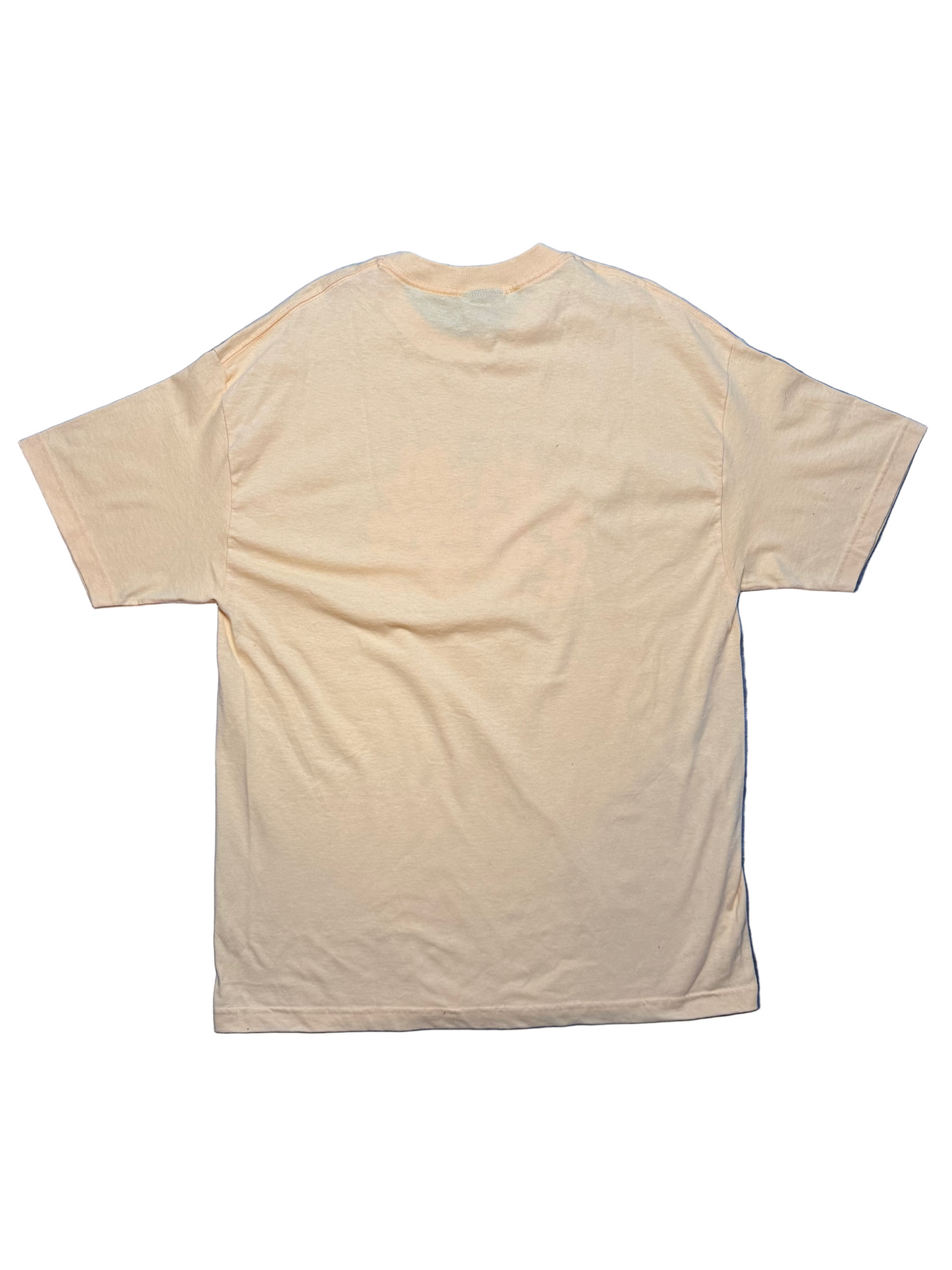 Garfield The Hundreds T shirt